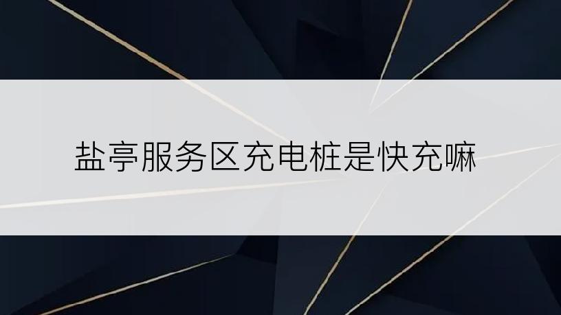 盐亭服务区充电桩是快充嘛