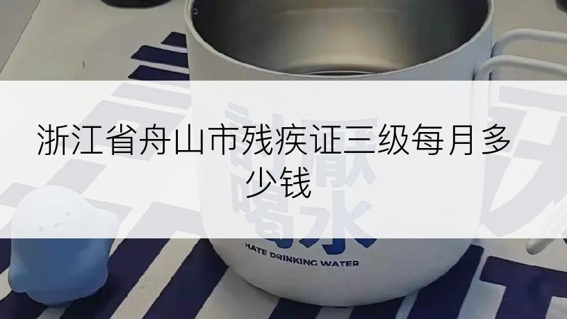 浙江省舟山市残疾证三级每月多少钱