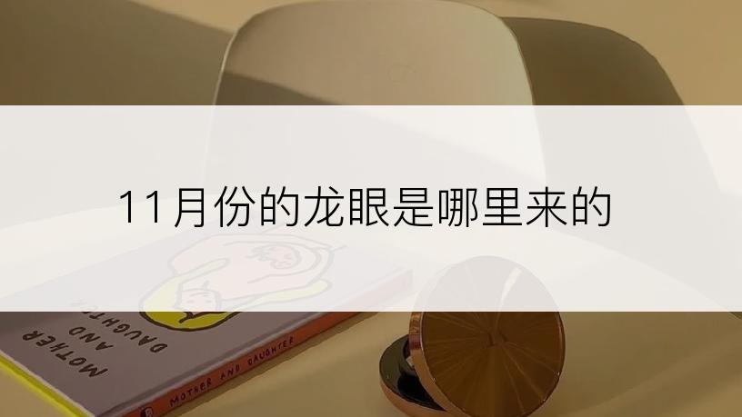 11月份的龙眼是哪里来的