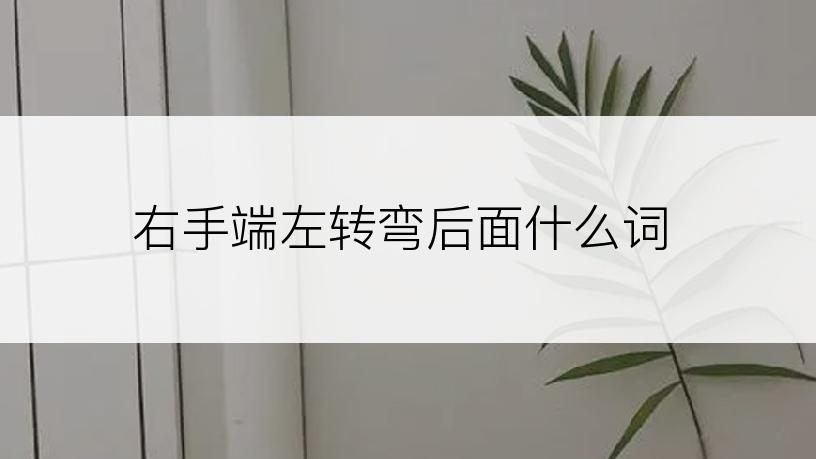 右手端左转弯后面什么词