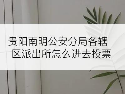 贵阳南明公安分局各辖区派出所怎么进去投票