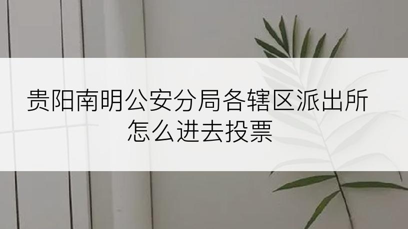 贵阳南明公安分局各辖区派出所怎么进去投票