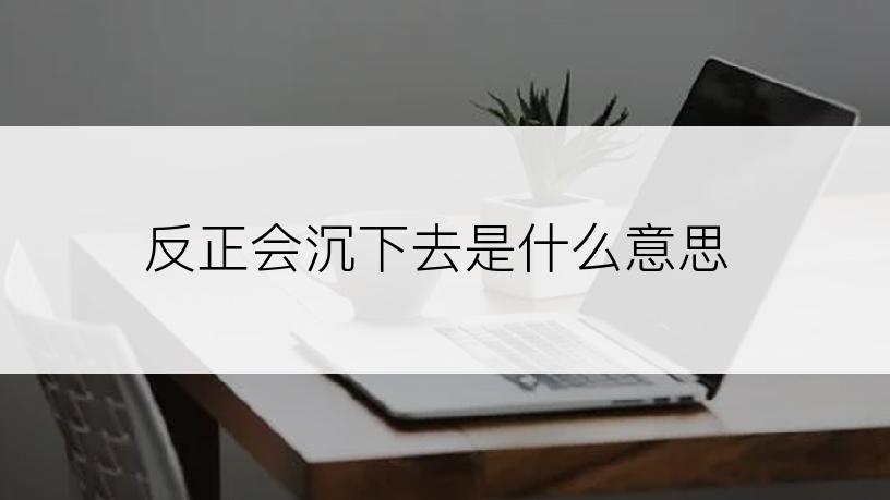 反正会沉下去是什么意思