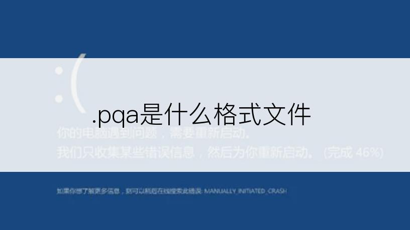 .pqa是什么格式文件