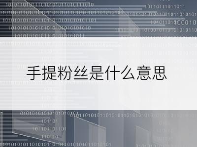 手提粉丝是什么意思