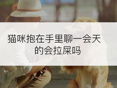 猫咪抱在手里聊一会天的会拉屎吗