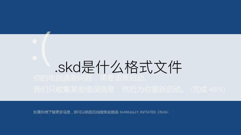 .skd是什么格式文件