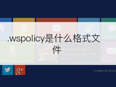 .wspolicy是什么格式文件