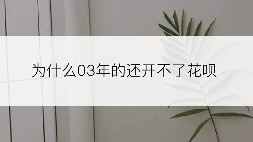 为什么03年的还开不了花呗