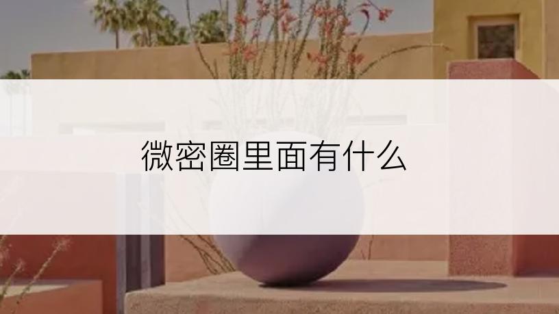 微密圈里面有什么