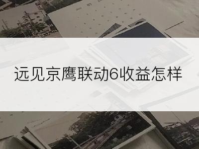 远见京鹰联动6收益怎样