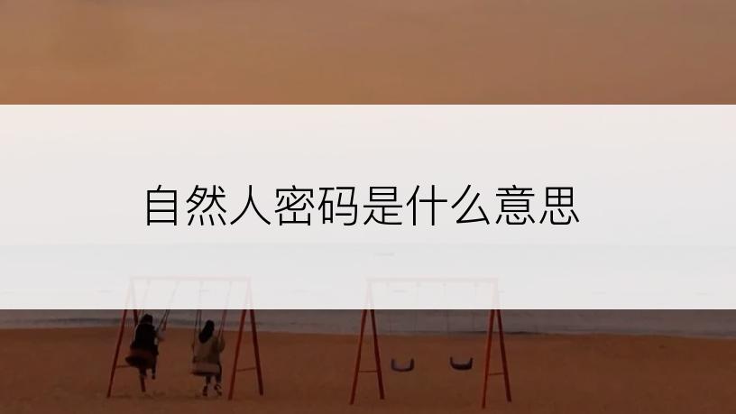 自然人密码是什么意思