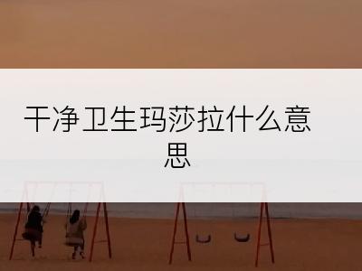 干净卫生玛莎拉什么意思