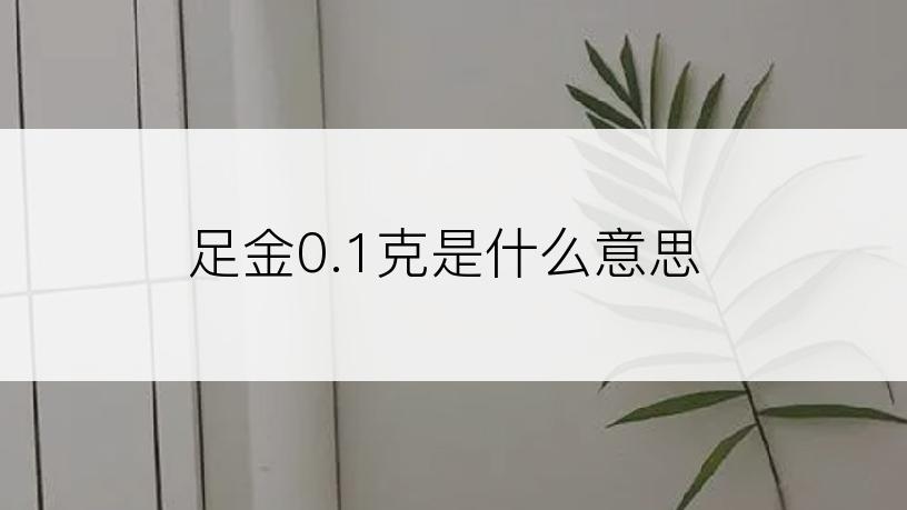 足金0.1克是什么意思