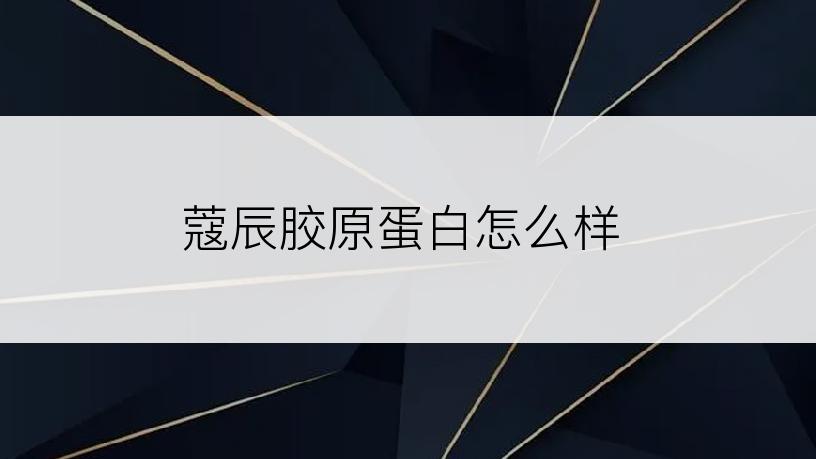 蔻辰胶原蛋白怎么样