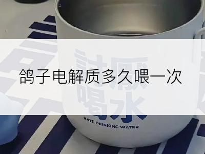 鸽子电解质多久喂一次