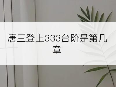 唐三登上333台阶是第几章