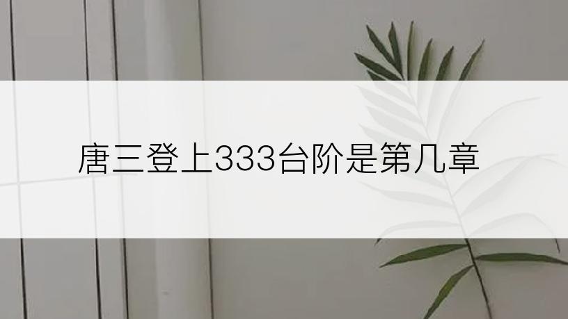 唐三登上333台阶是第几章