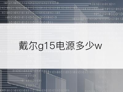 戴尔g15电源多少w