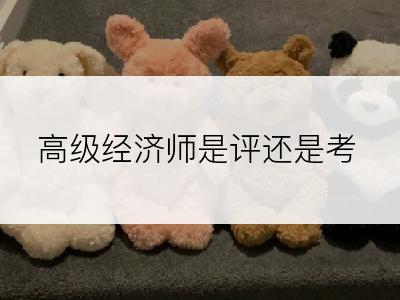 高级经济师是评还是考