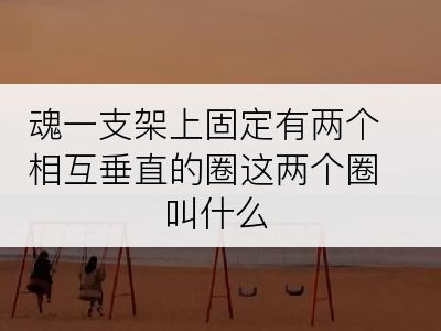 魂一支架上固定有两个相互垂直的圈这两个圈叫什么