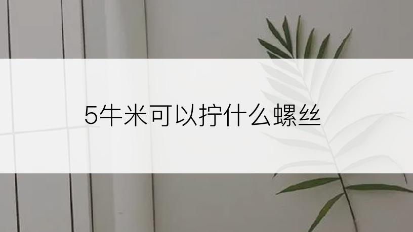 5牛米可以拧什么螺丝