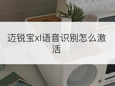 迈锐宝xl语音识别怎么激活