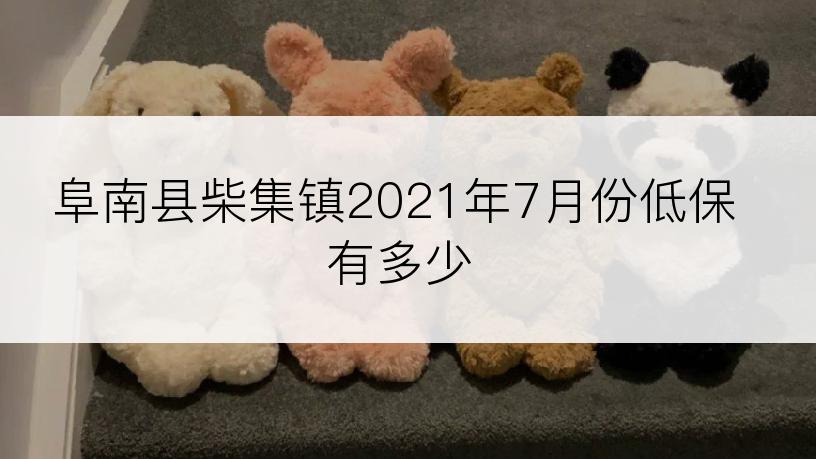 阜南县柴集镇2021年7月份低保有多少