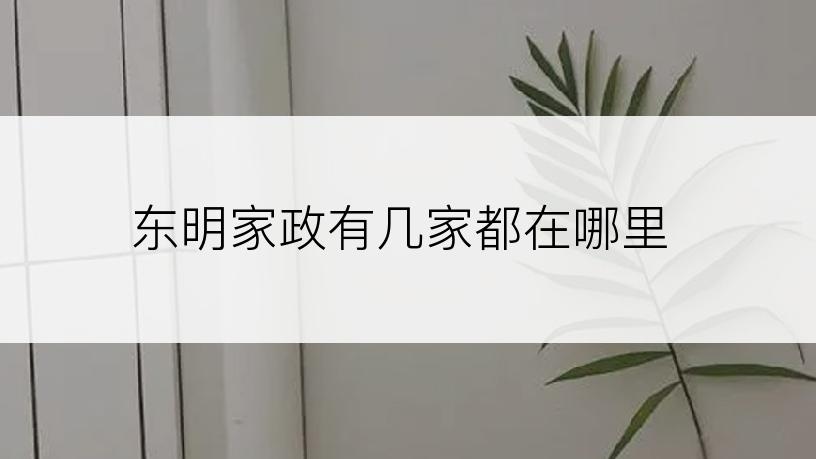 东明家政有几家都在哪里