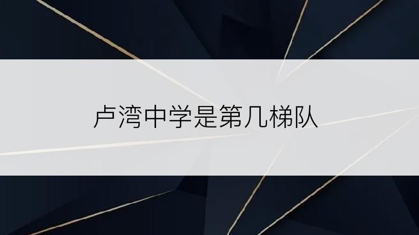 卢湾中学是第几梯队