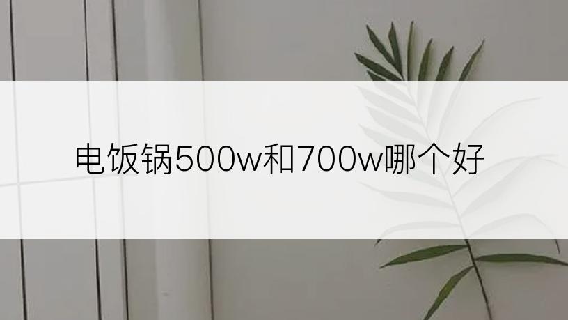 电饭锅500w和700w哪个好