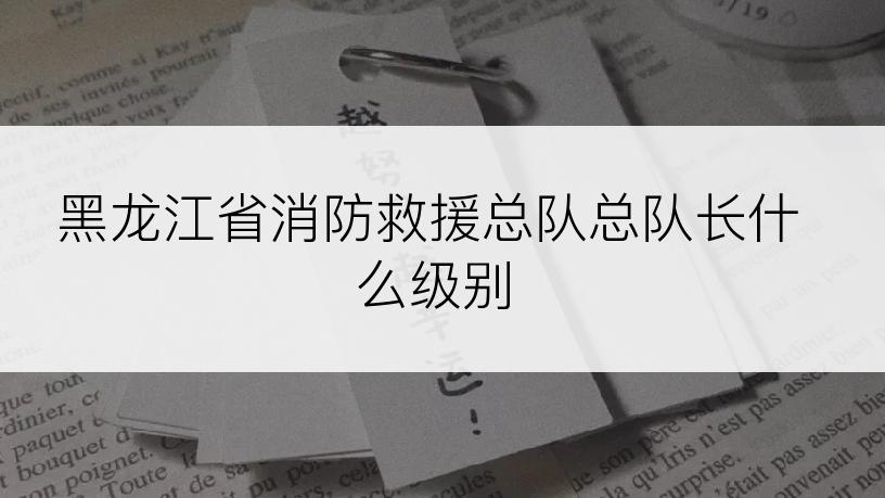 黑龙江省消防救援总队总队长什么级别