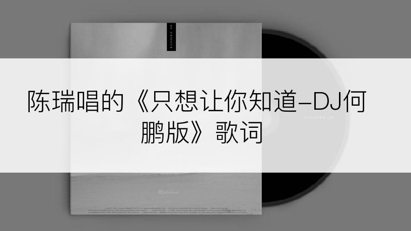 陈瑞唱的《只想让你知道-DJ何鹏版》歌词