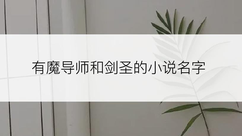 有魔导师和剑圣的小说名字