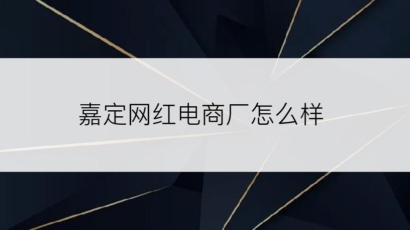 嘉定网红电商厂怎么样