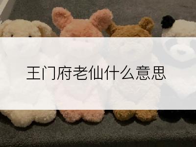 王门府老仙什么意思