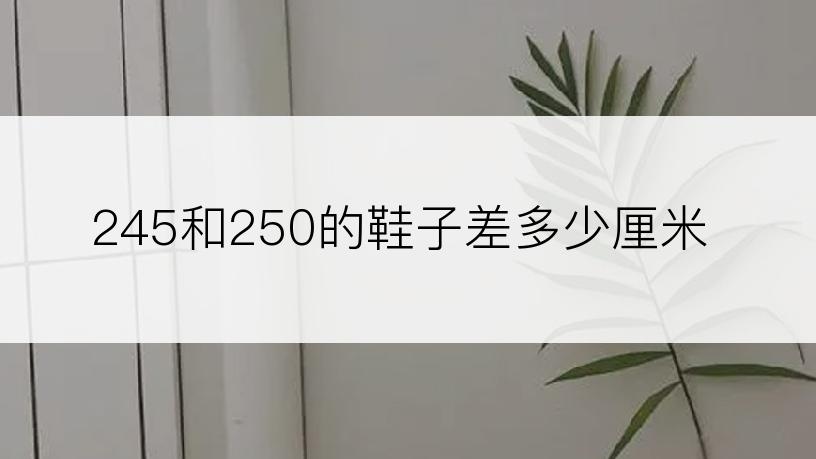 245和250的鞋子差多少厘米