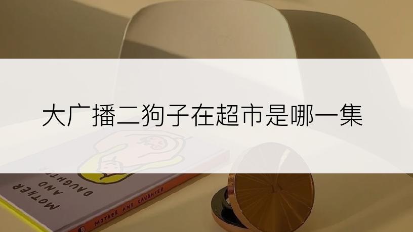 大广播二狗子在超市是哪一集