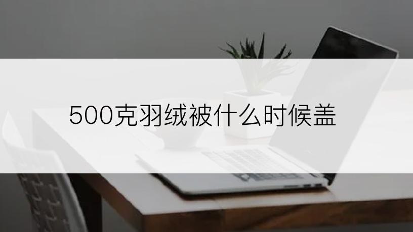 500克羽绒被什么时候盖