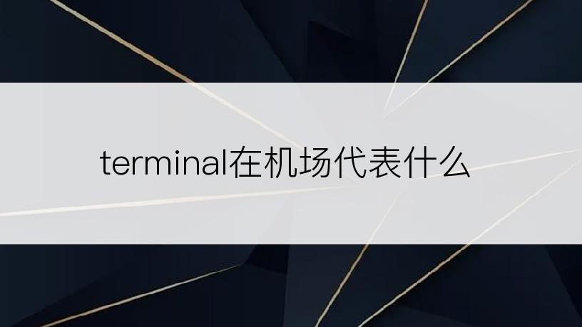 terminal在机场代表什么