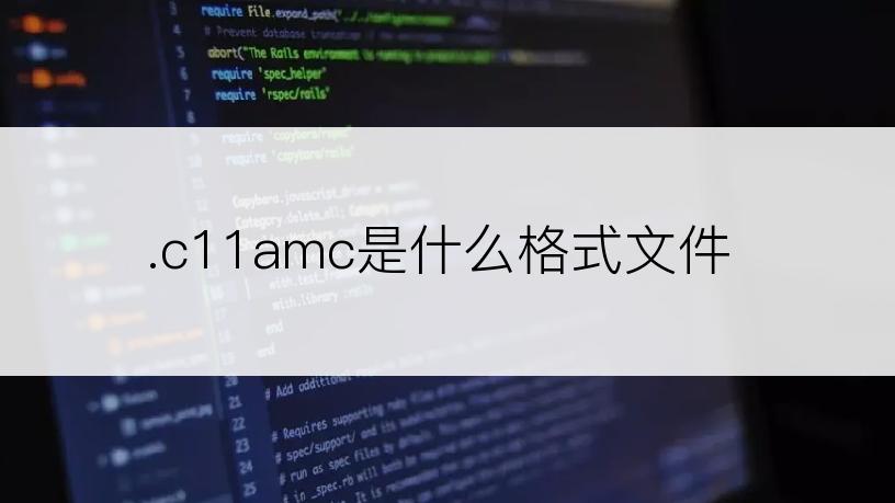 .c11amc是什么格式文件