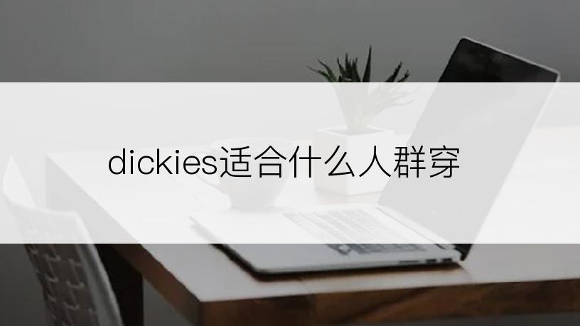 dickies适合什么人群穿