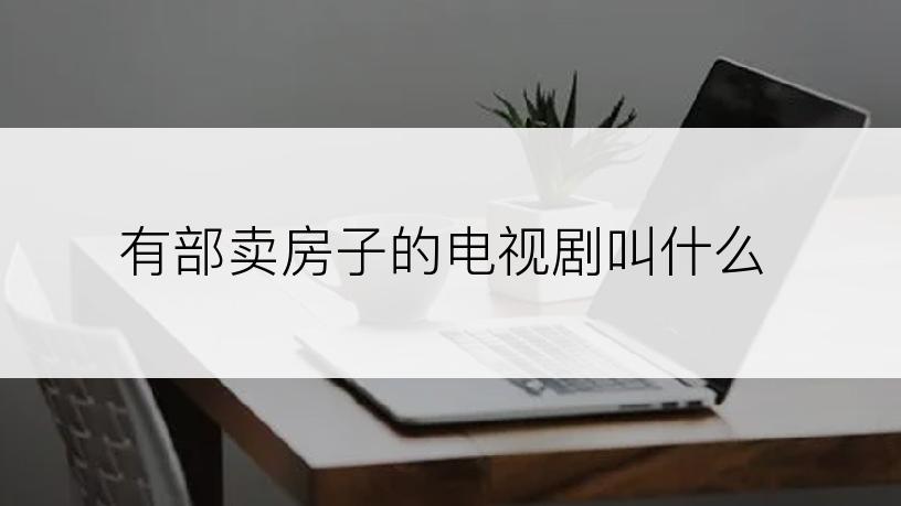 有部卖房子的电视剧叫什么