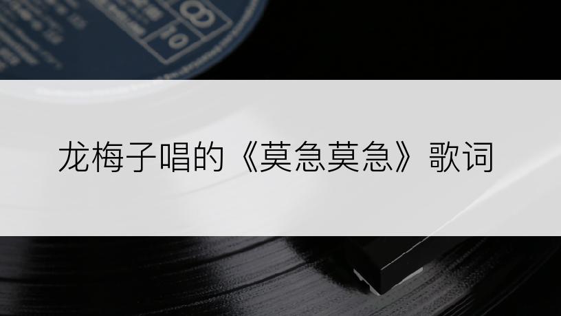 龙梅子唱的《莫急莫急》歌词