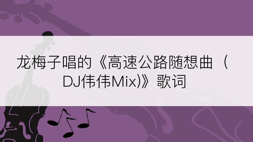 龙梅子唱的《高速公路随想曲（DJ伟伟Mix)》歌词