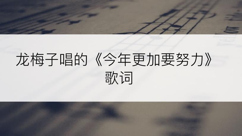 龙梅子唱的《今年更加要努力》歌词