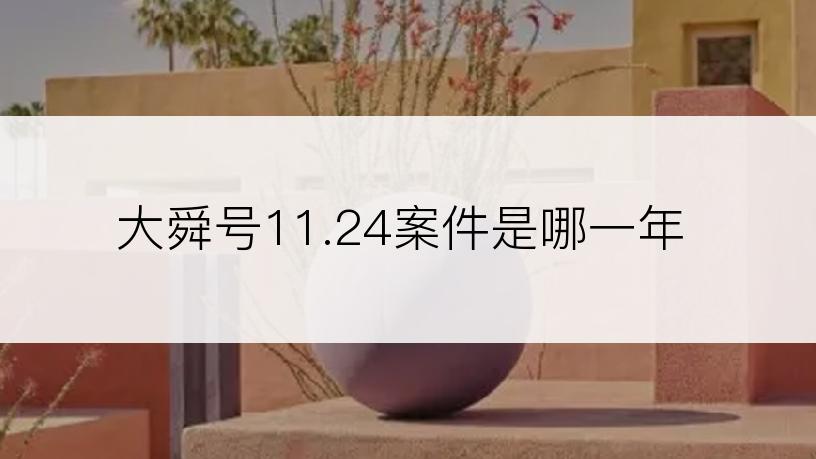 大舜号11.24案件是哪一年