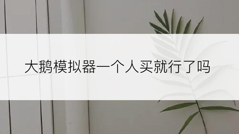 大鹅模拟器一个人买就行了吗