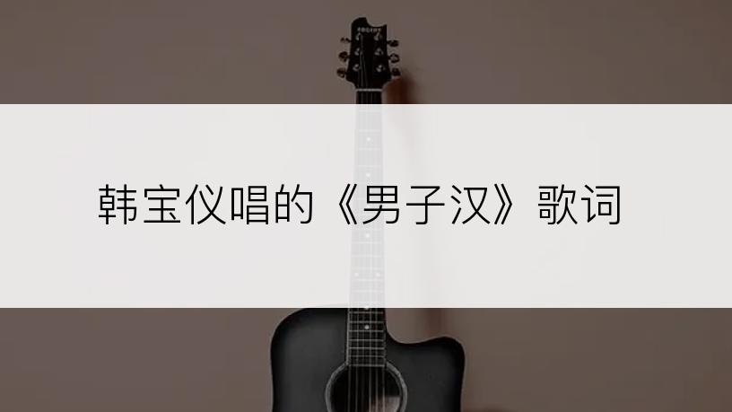 韩宝仪唱的《男子汉》歌词