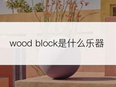 wood block是什么乐器